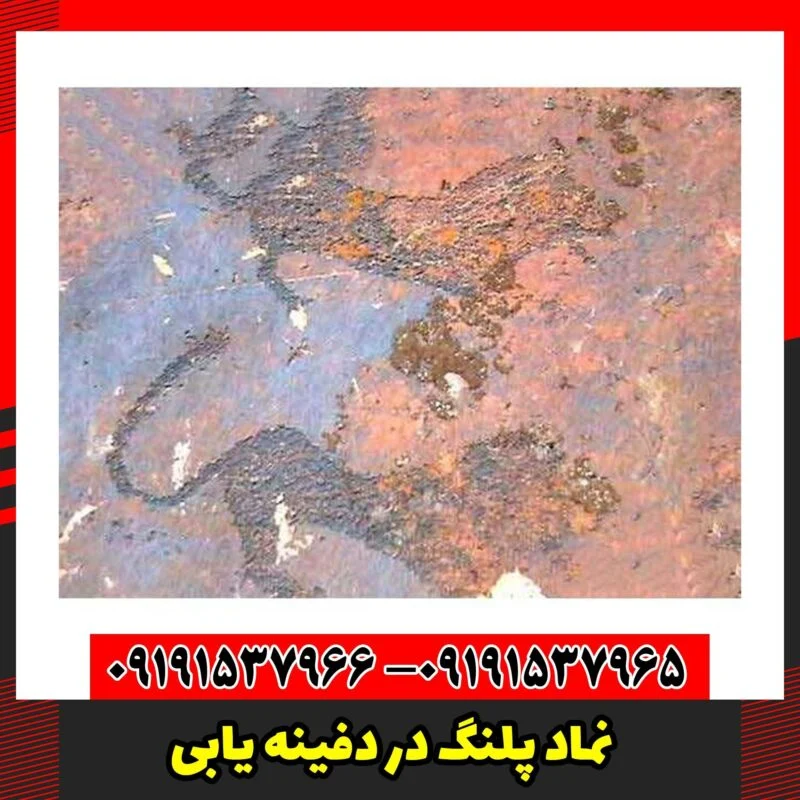نماد پلنگ در دفینه یابی