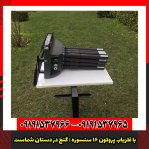 با فلزیاب پروتون ۱۶ سنسوره : گنج در دستان شماست