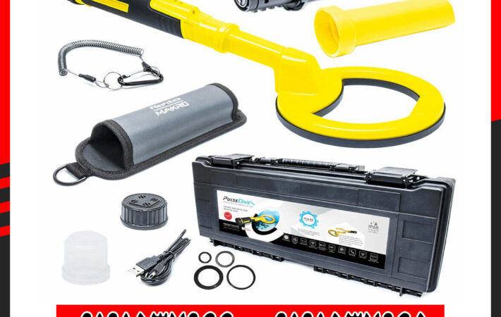 فلزیاب پالس دایو