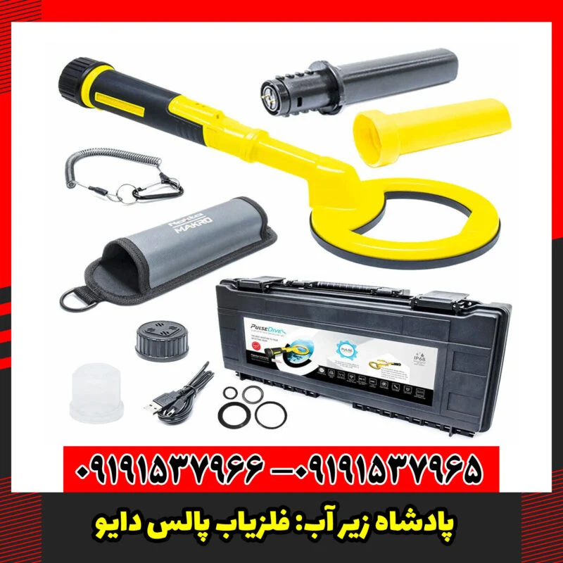 فلزیاب پالس دایو