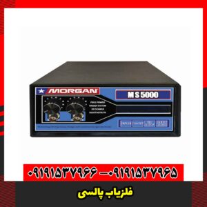 فلزیاب پالسی