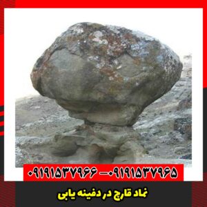 نماد قارچ در دفینه‌ یابی