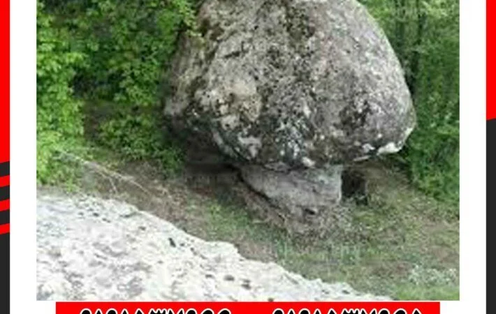 نماد قارچ در دفینه‌ یابی